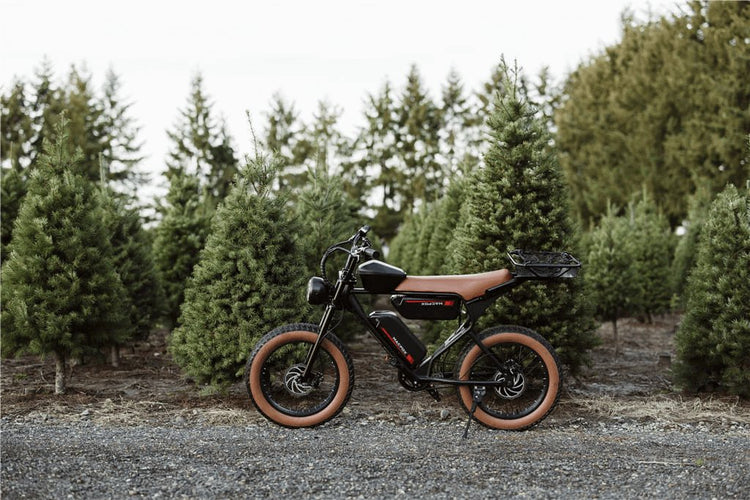 E-Bikes