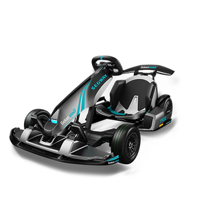 Segway Gokart PRO 2