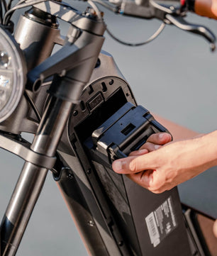 Benzina Zero Area51 E-Bike