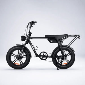 Fatfish Biggie EN15194 Certified Fat Tyre E-Bike