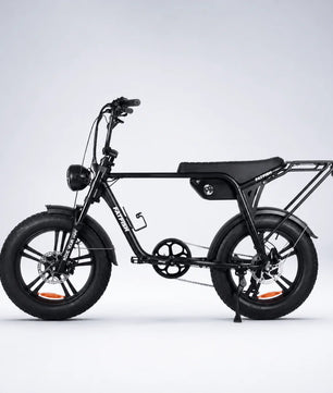 Fatfish Biggie EN15194 Certified Fat Tyre E-Bike