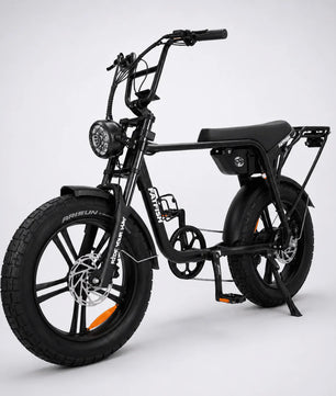 Fatfish Biggie EN15194 Certified Fat Tyre E-Bike