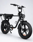 Fatfish Biggie EN15194 Certified Fat Tyre E-Bike