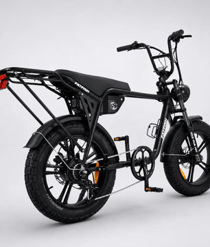 Fatfish Biggie EN15194 Certified Fat Tyre E-Bike