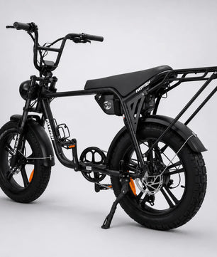 Fatfish Biggie EN15194 Certified Fat Tyre E-Bike