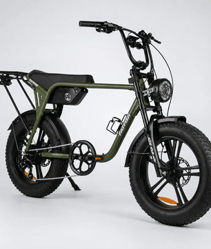 Fatfish Biggie EN15194 Certified Fat Tyre E-Bike