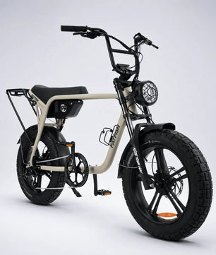 Fatfish Biggie EN15194 Certified Fat Tyre E-Bike