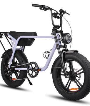 Fatfish Biggie EN15194 Certified Fat Tyre E-Bike