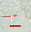Cooper Kayak Anchor