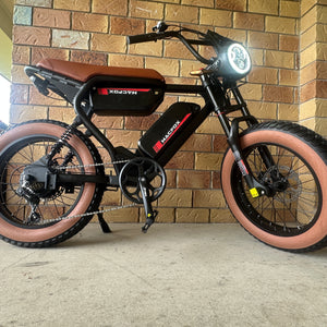 Fat Bike, Dual Battery