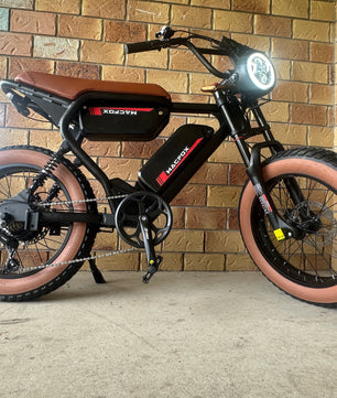 Fat Bike, Dual Battery