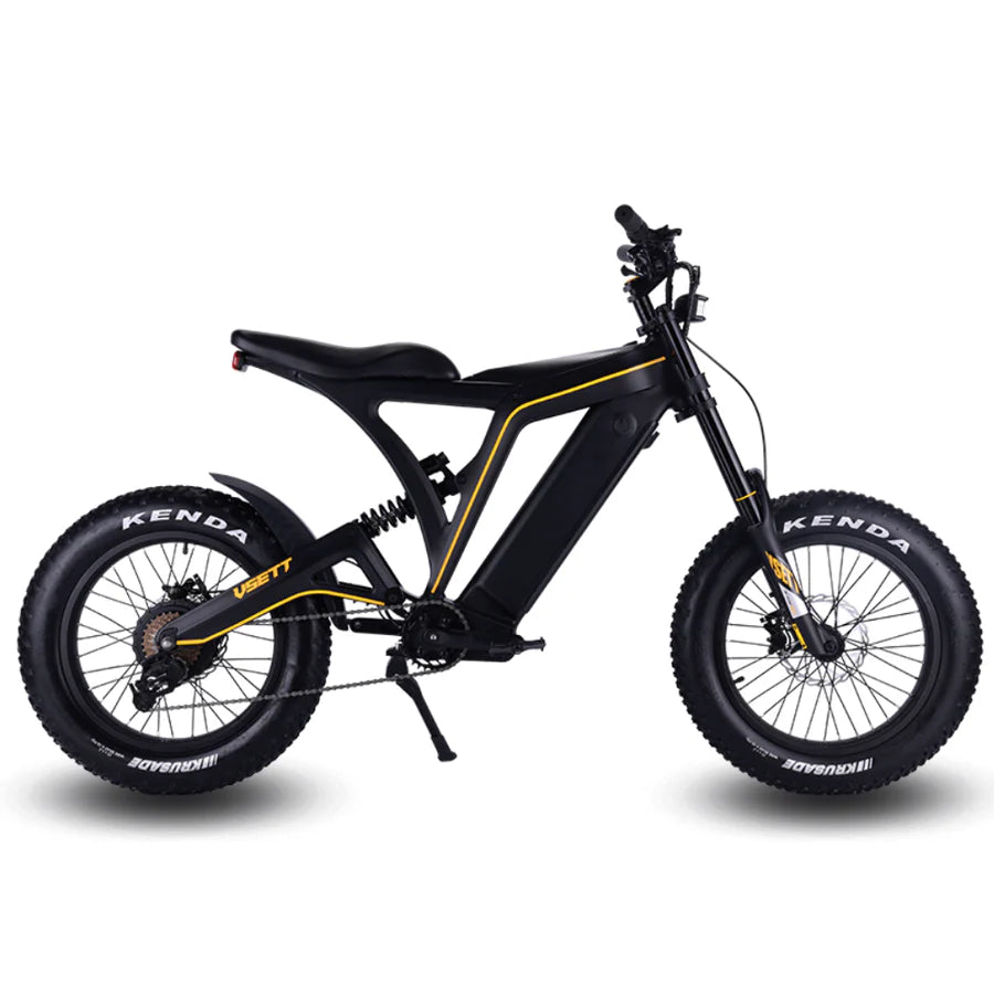 VSETT Eagle E-Bike