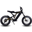 VSETT Eagle E-Bike