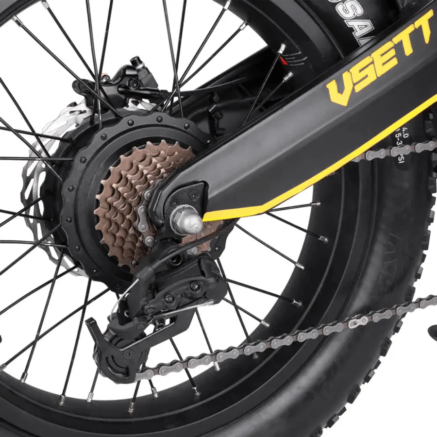 VSETT Eagle E-Bike