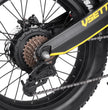 VSETT Eagle E-Bike